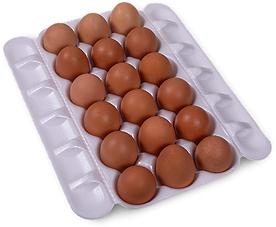 OVOS TAMAGO VERM 18UN BDJ