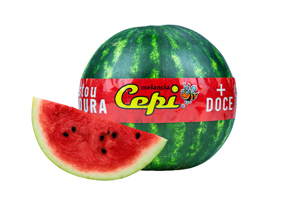 MELANCIA MINI CEPI KG