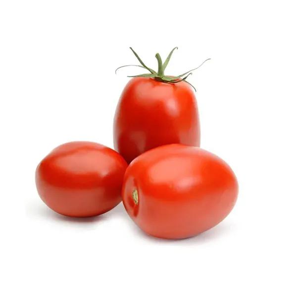 TOMATE HOLANDES KG