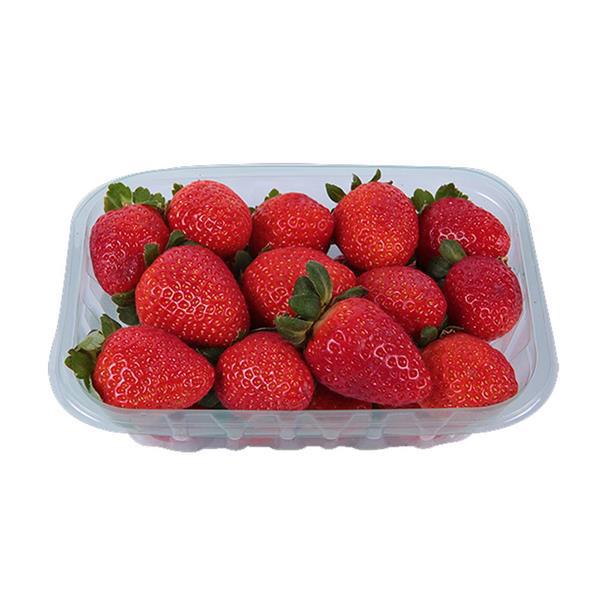 -MORANGO BDJ BUDNI 220GR