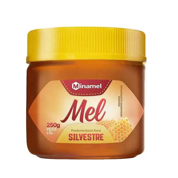 MEL MINA MEL SILVESTRE 250GR POTE