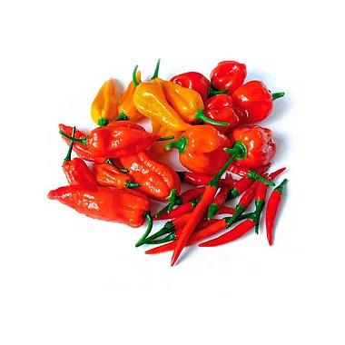 PIMENTA MISTA PRIMALTA 100GR B