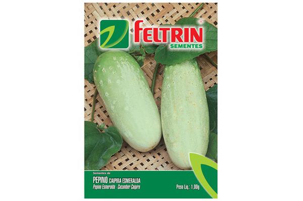 SEMENTE FELTRIN PEPINO ESMERAL