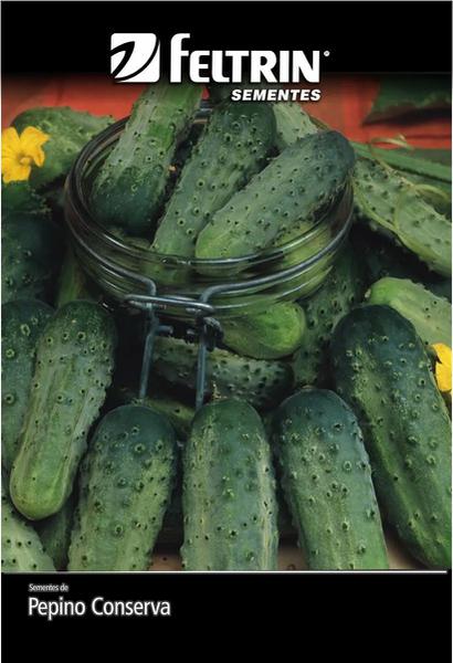 SEMENTE FELTRIN PEPINO WISCONS