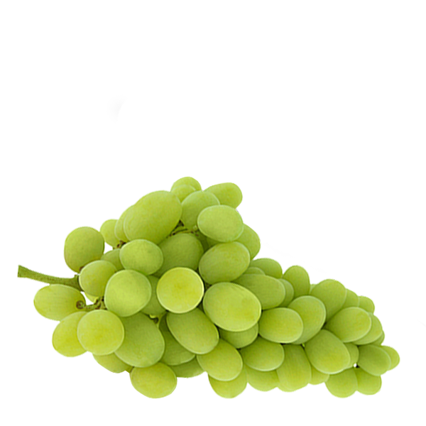 UVA BRANCA SEM SEMENTE SWEET GLOBE 500G