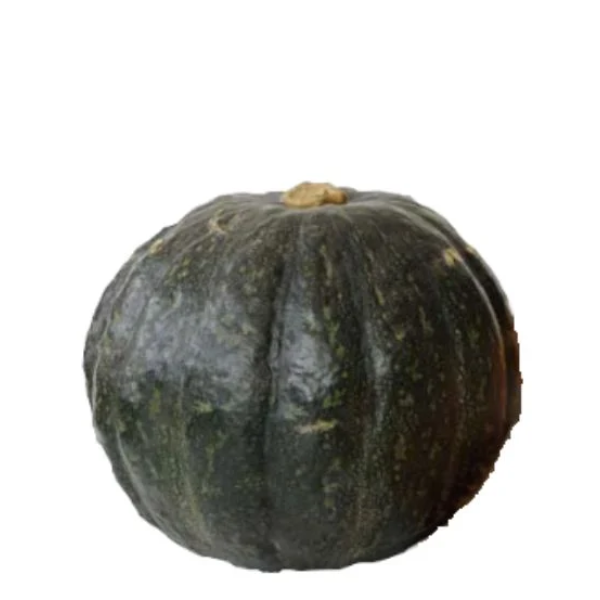 ABÓBORA KABUTIAN INTEIRA KG