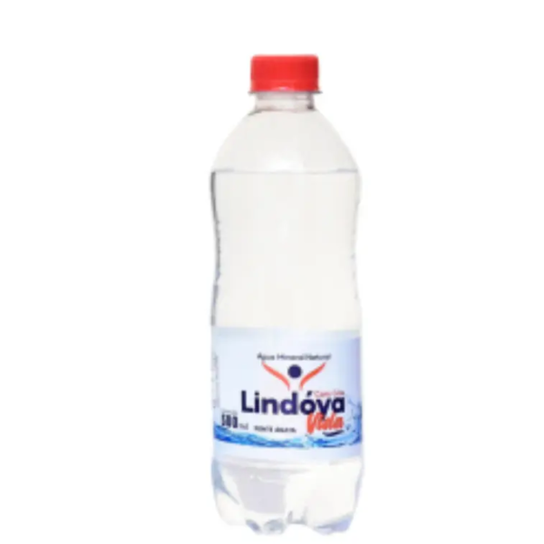 AGUA MIN LINDOYA VIDA 500ML C/GAS