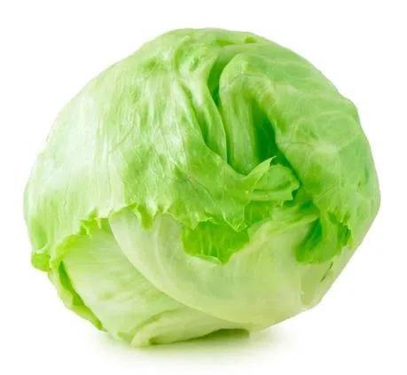 ALFACE AMERICANA LOVATTI