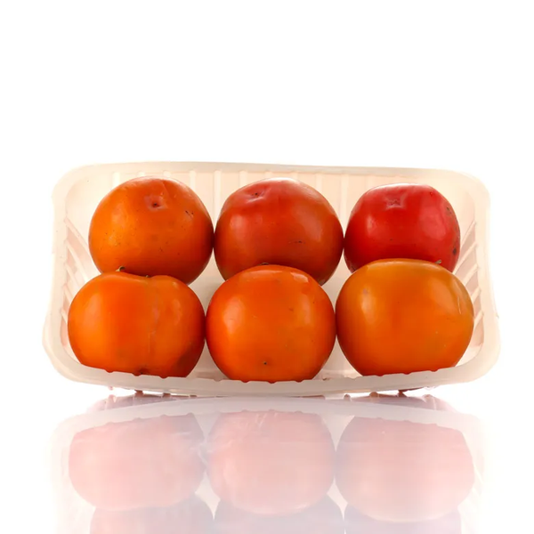 CAQUI RAMA FORTE BAND