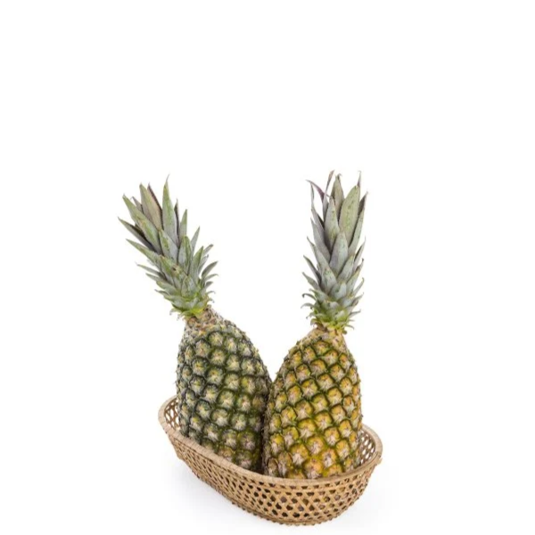 HF ABACAXI PEROLA UNID