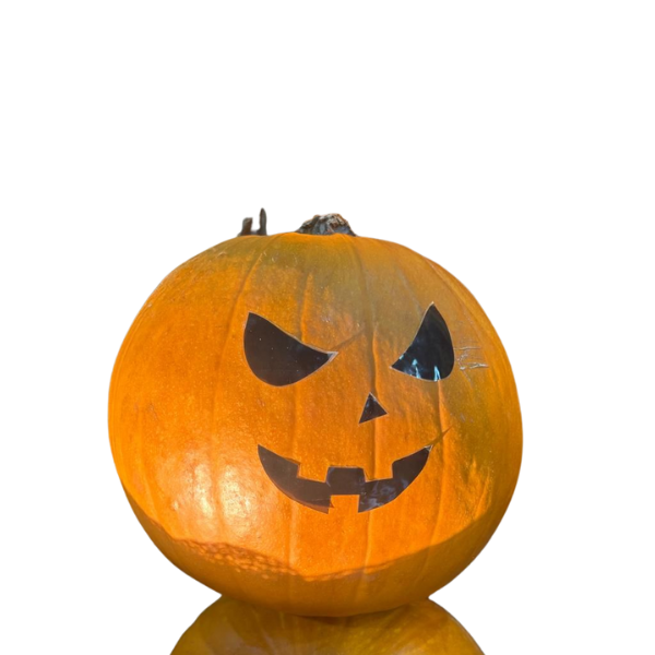 HF ABOBORA MORANGA HALLOWEEN KG