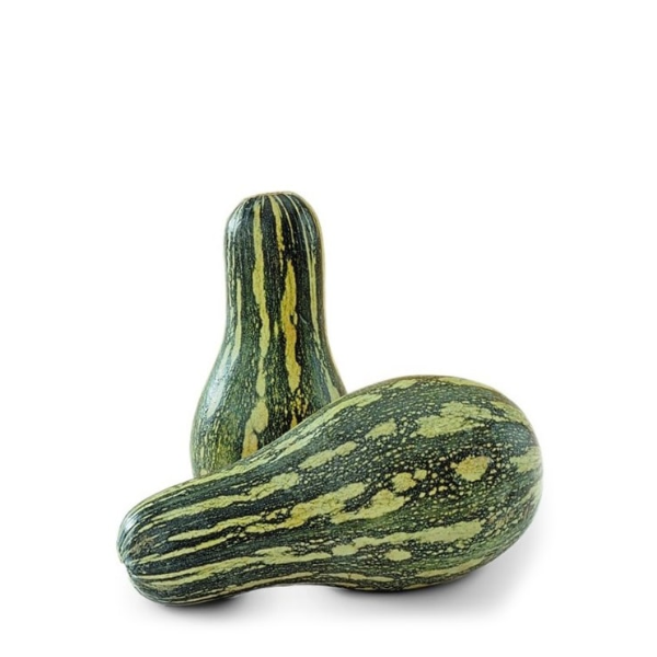 HF ABOBORA PAULISTA KG