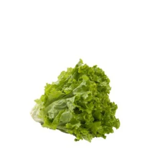 HF ALFACE CRESPA LOVATTI