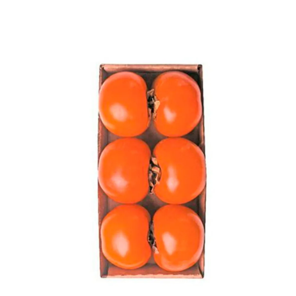 HF CAQUI RAMA FORTE BAND