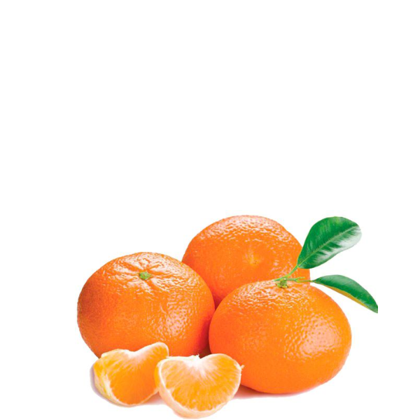 HF MEXIRICA MORCOTE KG