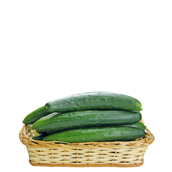 HF PEPINO CONSERVA KG