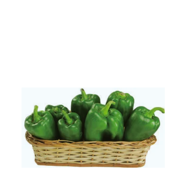 HF PIMENTAO VERDE KG