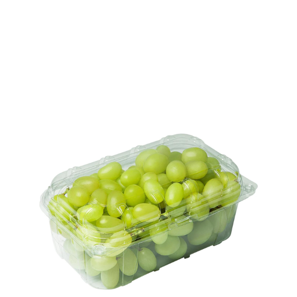 HF UVA THOMPSON 500GR