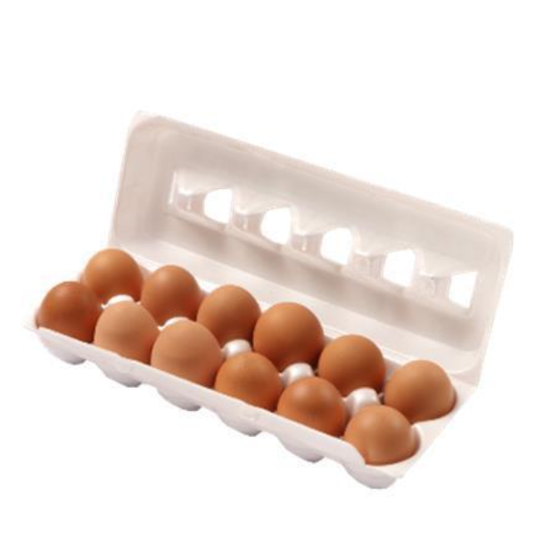 OVO RR EXTRA VERM 10