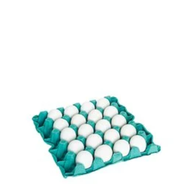 OVO SATOSHI EXTRA BRANCO C 20