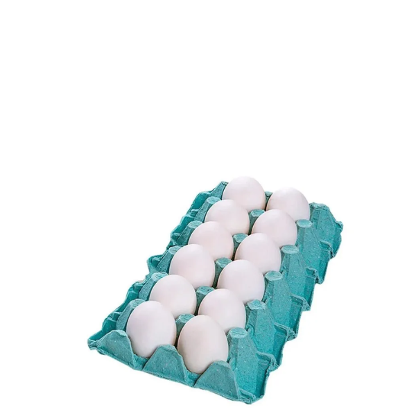 OVO SATOSHI GRANDE BRANCO C 12