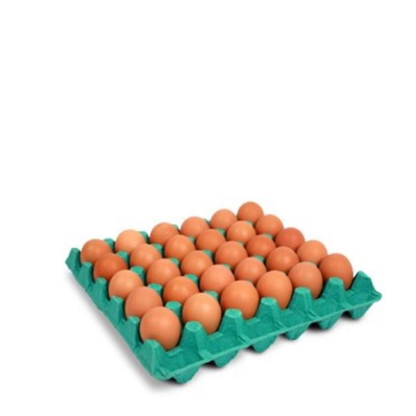 OVO SATOSHI GRANDE VERMELHO C/30