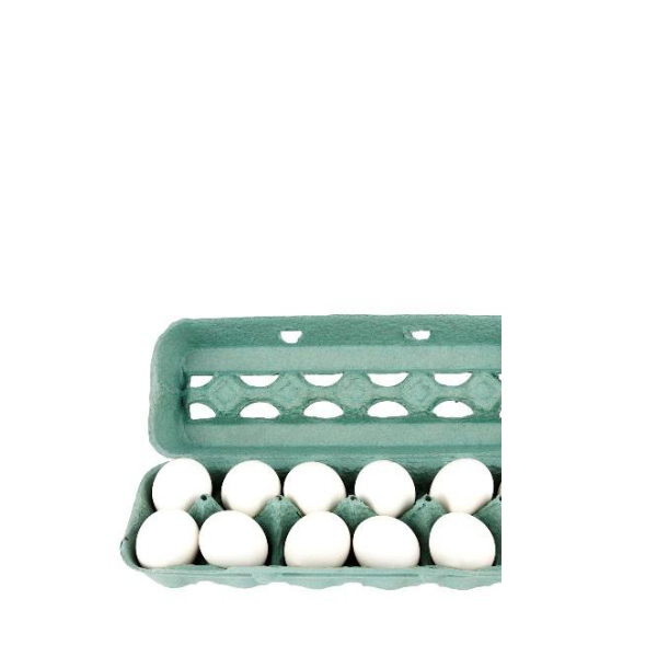 OVO SATOSHI JUMBO BRANCO C 10