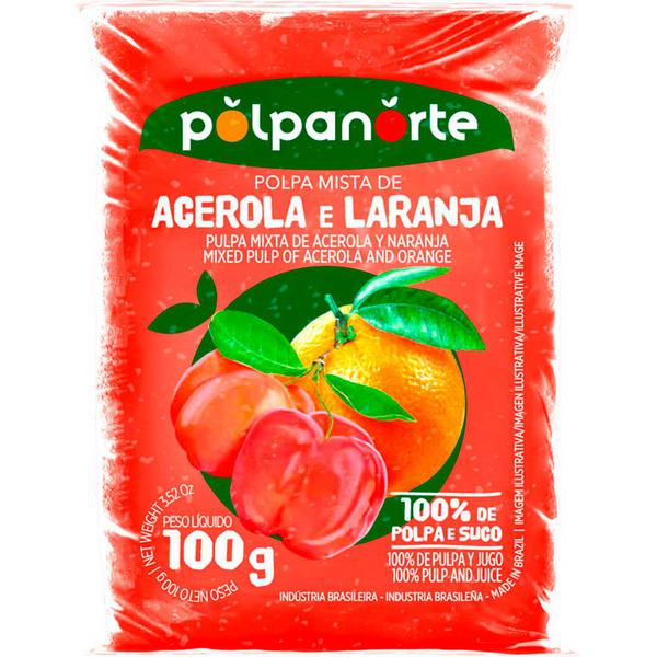 POLPANORTE 100GR ACERO