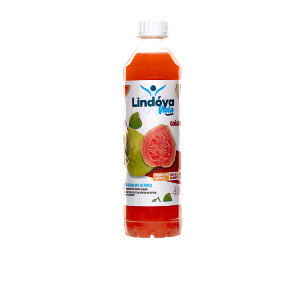 SUCO LINDOYA VIDA 400ML GOIABA