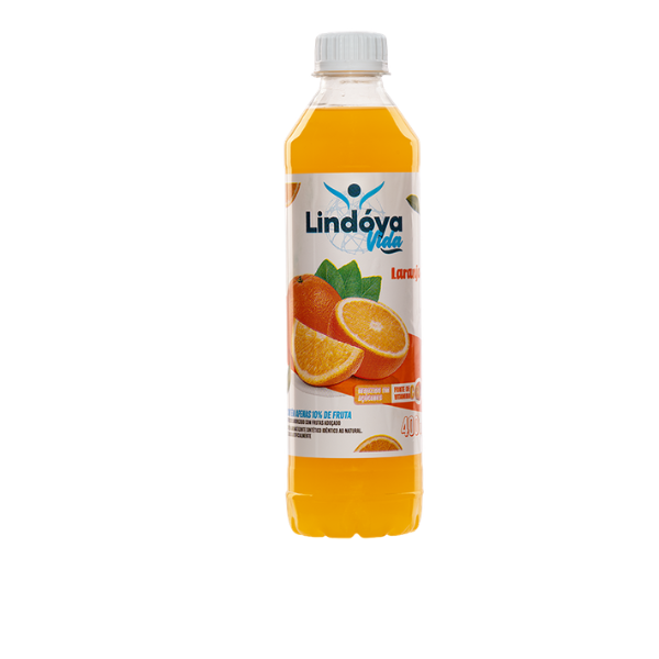 SUCO LINDOYA VIDA 400ML LARANA