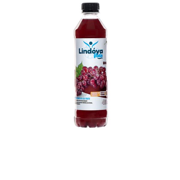 SUCO LINDOYA VIDA 400ML UVA