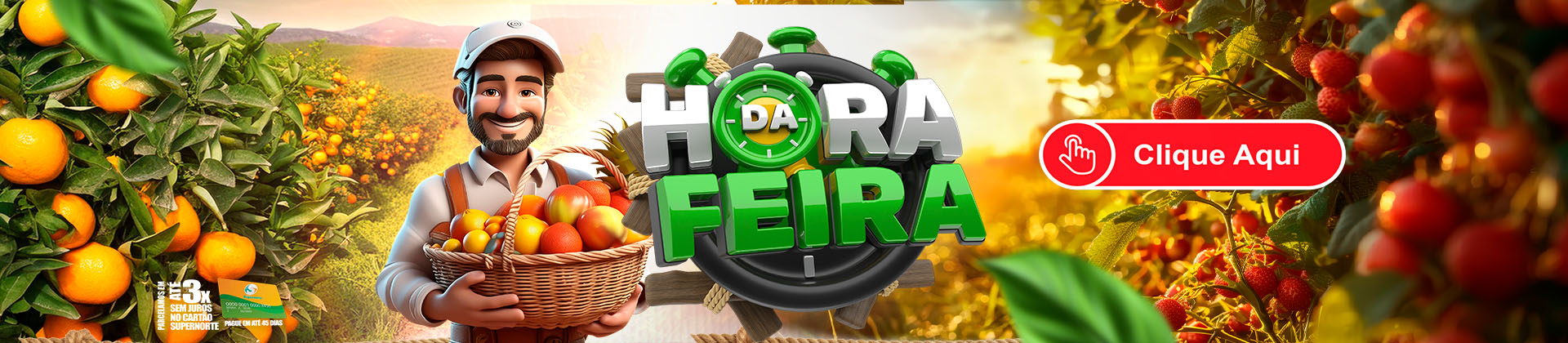 FLV SUPERNORTE