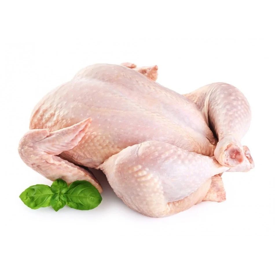 FRANGO ABATIDO GRANJA