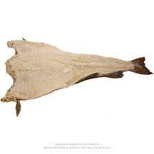 BACALHAU SAITH 10/12