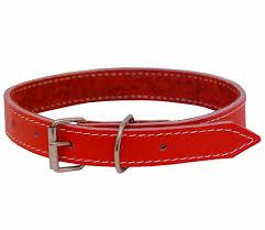 COLEIRA PITT PET FORRADA VERM N03