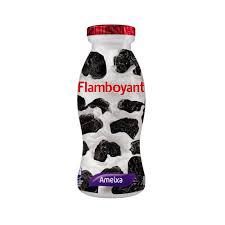 IOGURTE FLAMBOYANT 170G AMEIXA