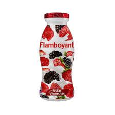IOGURTE FLAMBOYANT 170G FRUTAS VERMELHA