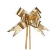 LACO FACIL SORTIDO PET 1.8X36CM