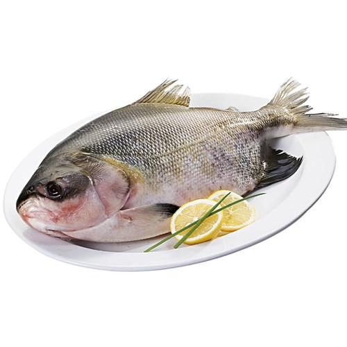 PEIXE TAMBAQUI KG