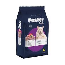 RACAO FOSTER ONE GATO CASTR AGRANEL