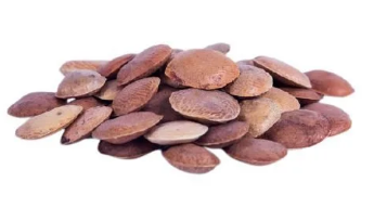 SEMENTE SUCUPIRA ECONOMICO 20G