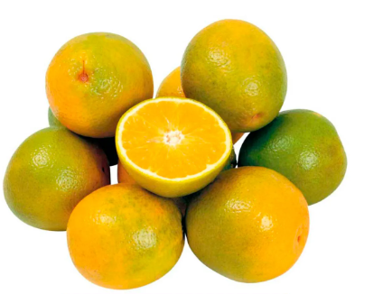 LARANJA PERA RIO KG
