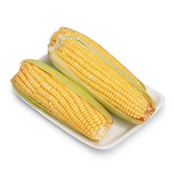 MILHO VERDE ESPIGA BANDEJA