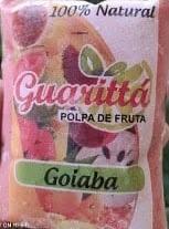 POLPA DE FRUTA GUARITTA GOIABA 200G