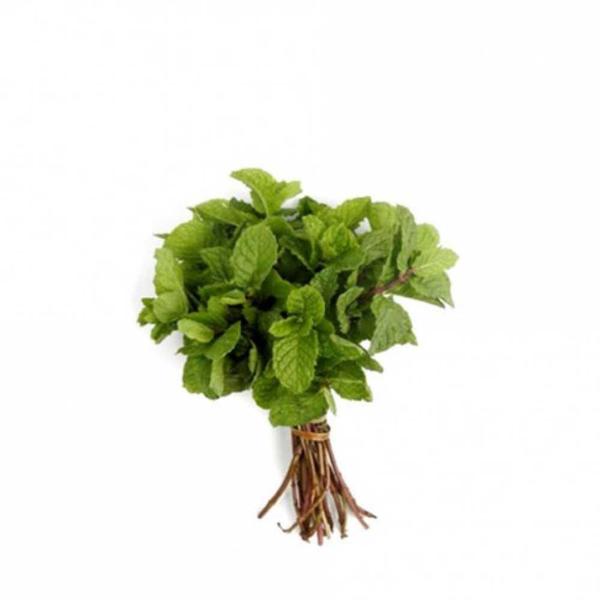 HORTELA UN - POMAR