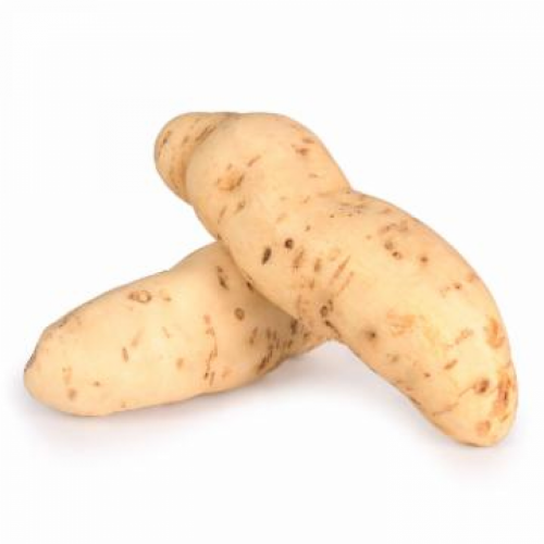 BATATA DOCE BRANCA KG