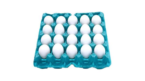 OVOS BRANCOS 20UNIDADES DEIMLING