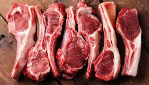 ACG CARNEIRO SALGADO KG