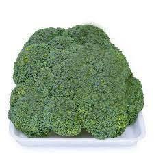 BROCOLIS CABECA UN un