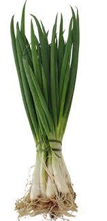 FLV CEBOLINHA UN  un